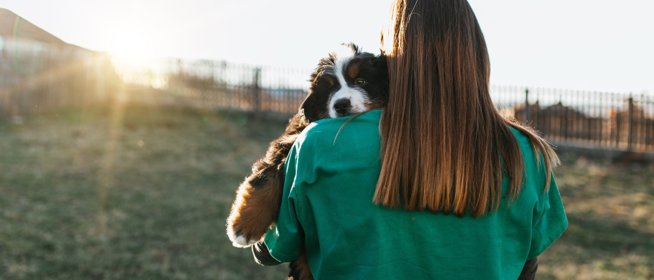 Hund, Hundedame, Hundehalterin, Freundschaft, Tierliebe