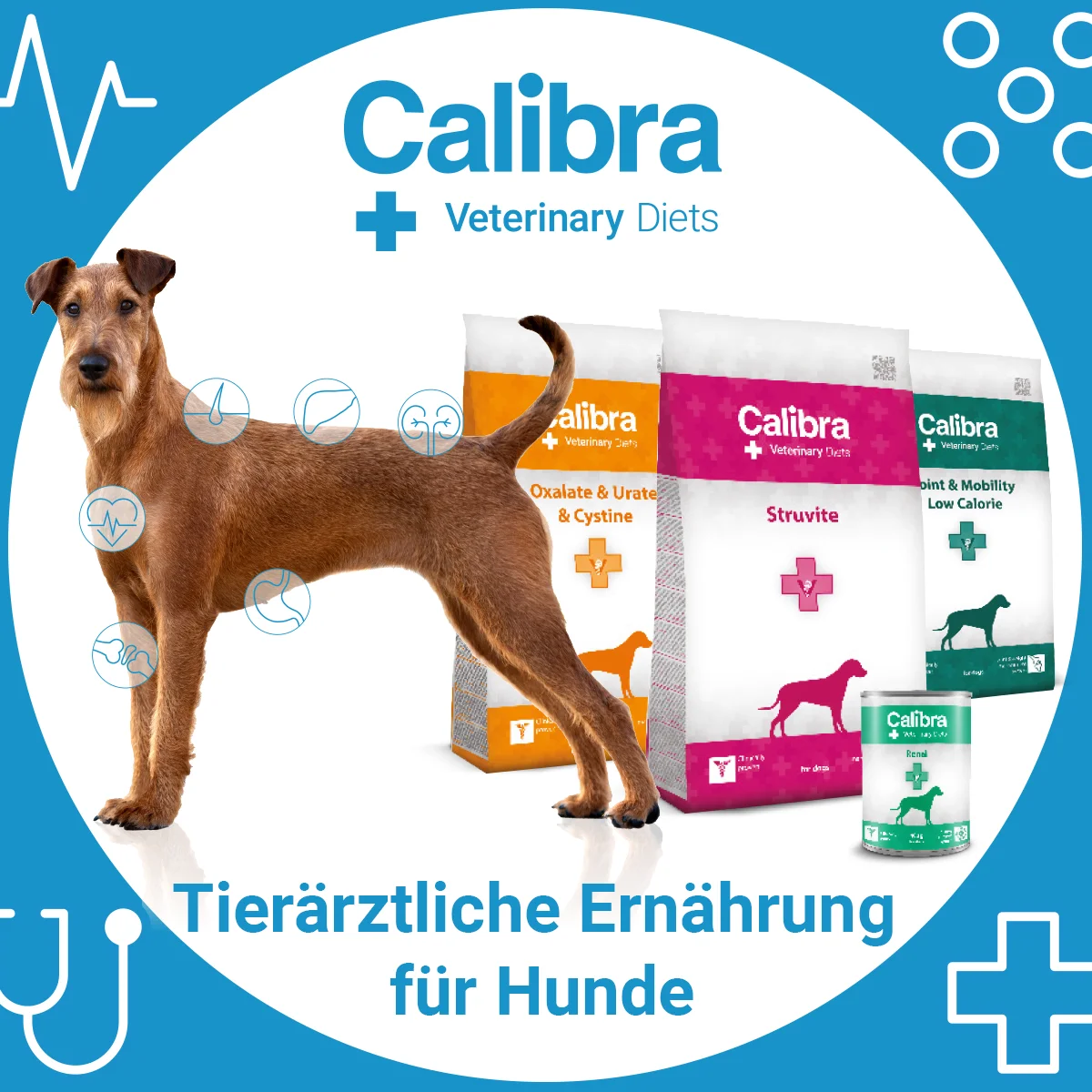 DOG_VD_Bannery_ENGL_1200x1200_DE