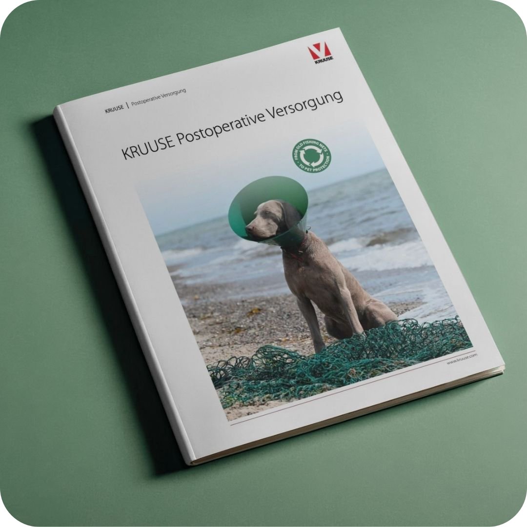 Hund, Kragen/Schill**, Hundekragen, Strand, Netz