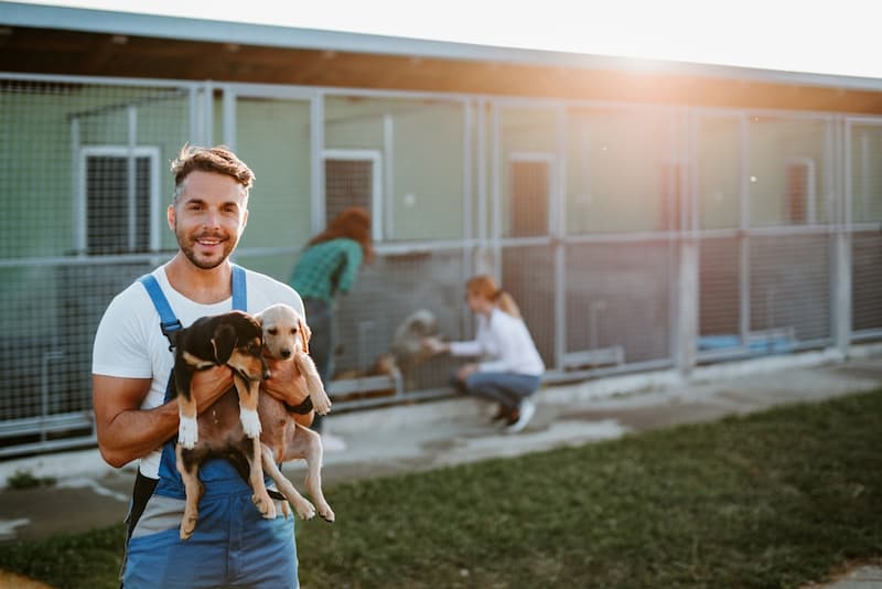 ein-mann-haelt-einen-hund-er-hat-einen-tierheim-job
