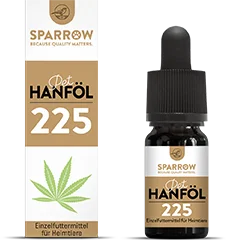 Sparrow_Hanfoel