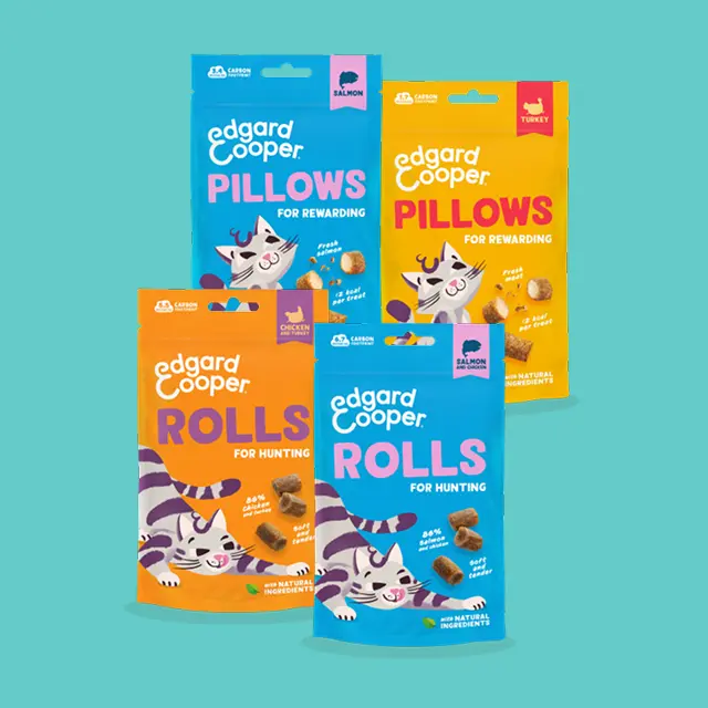snacks_cats