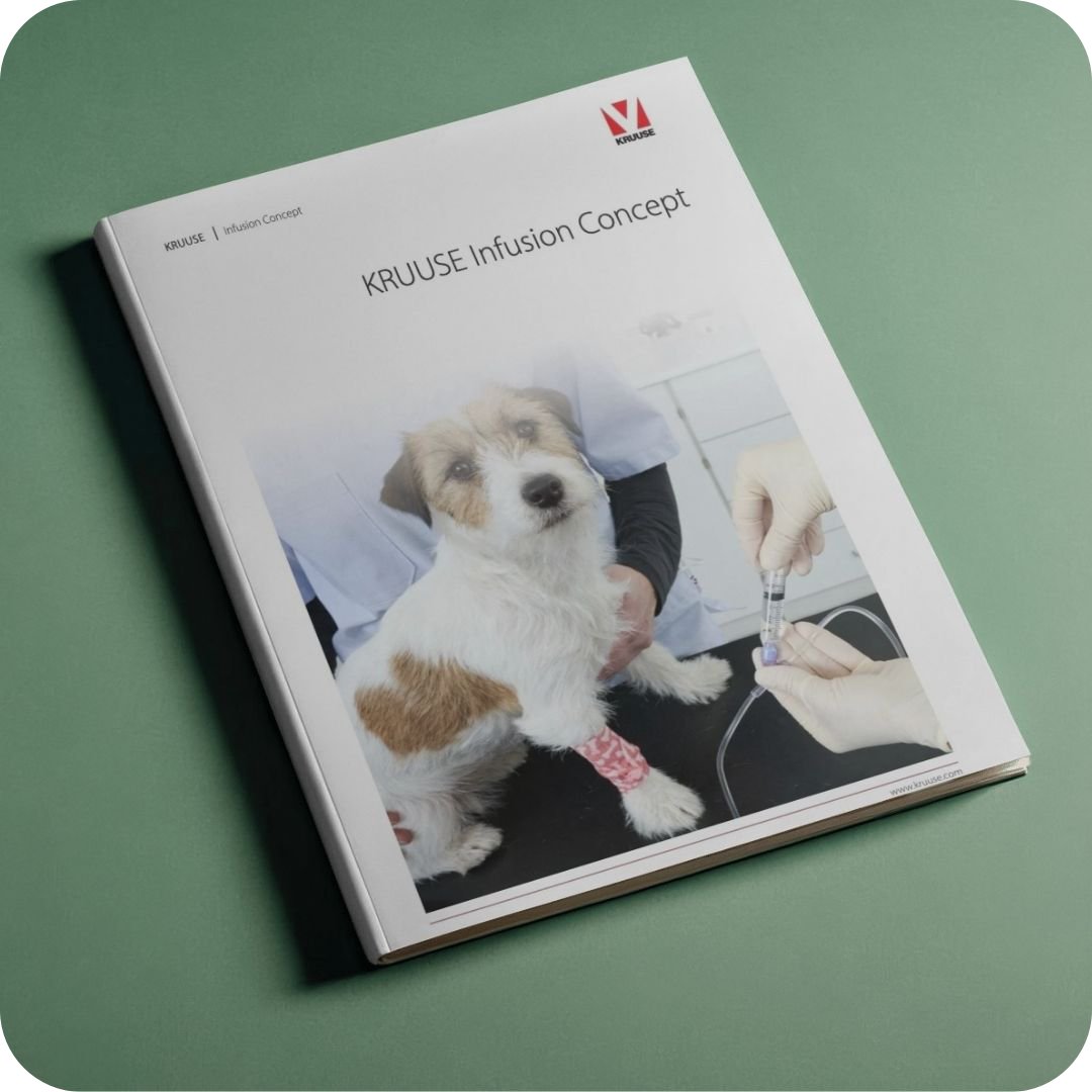 Hund, Tierarzt, Infusion, Kleiner Hund, Beinbandage