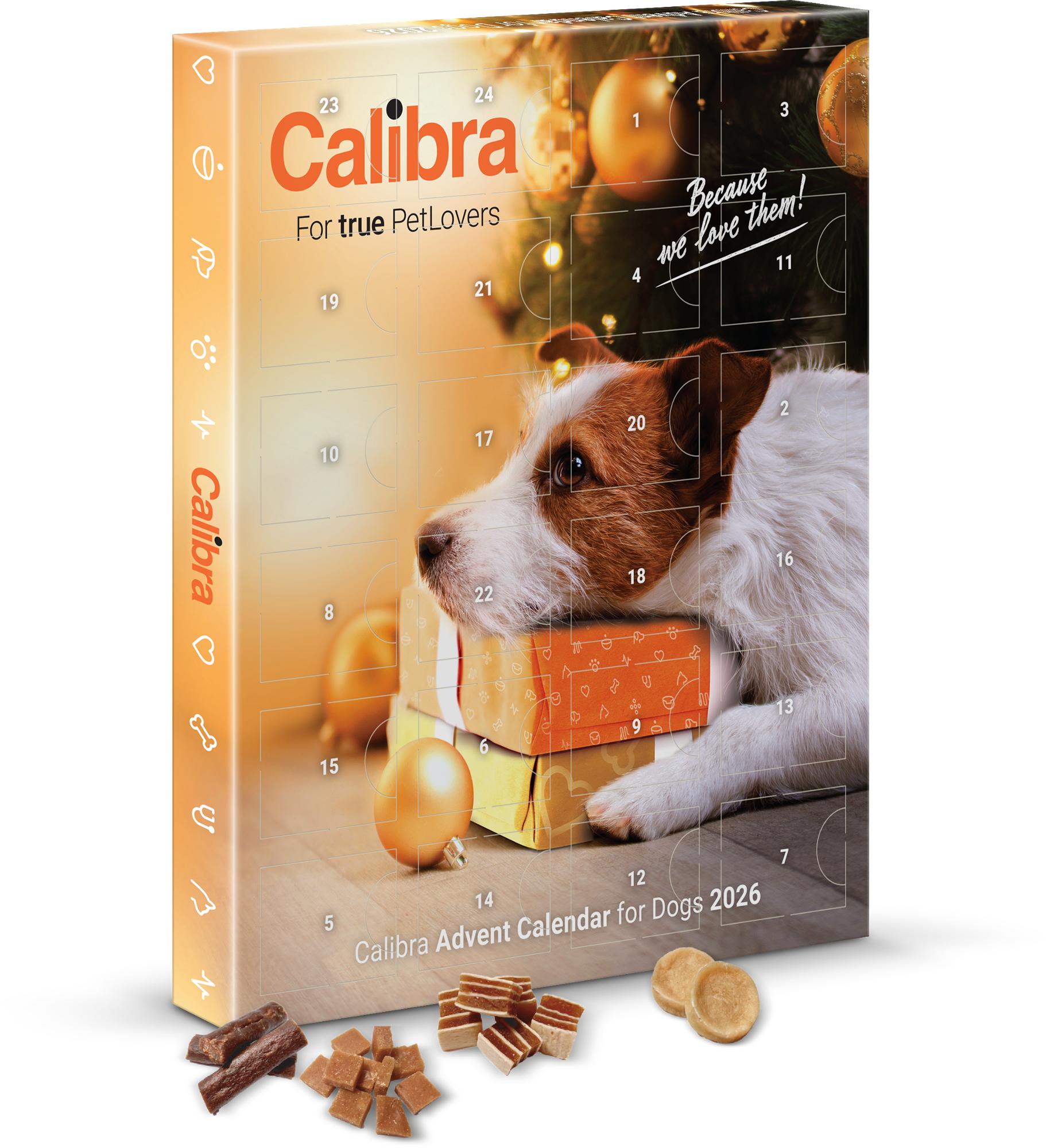 Calibra Adventskalender 2026 - Hund