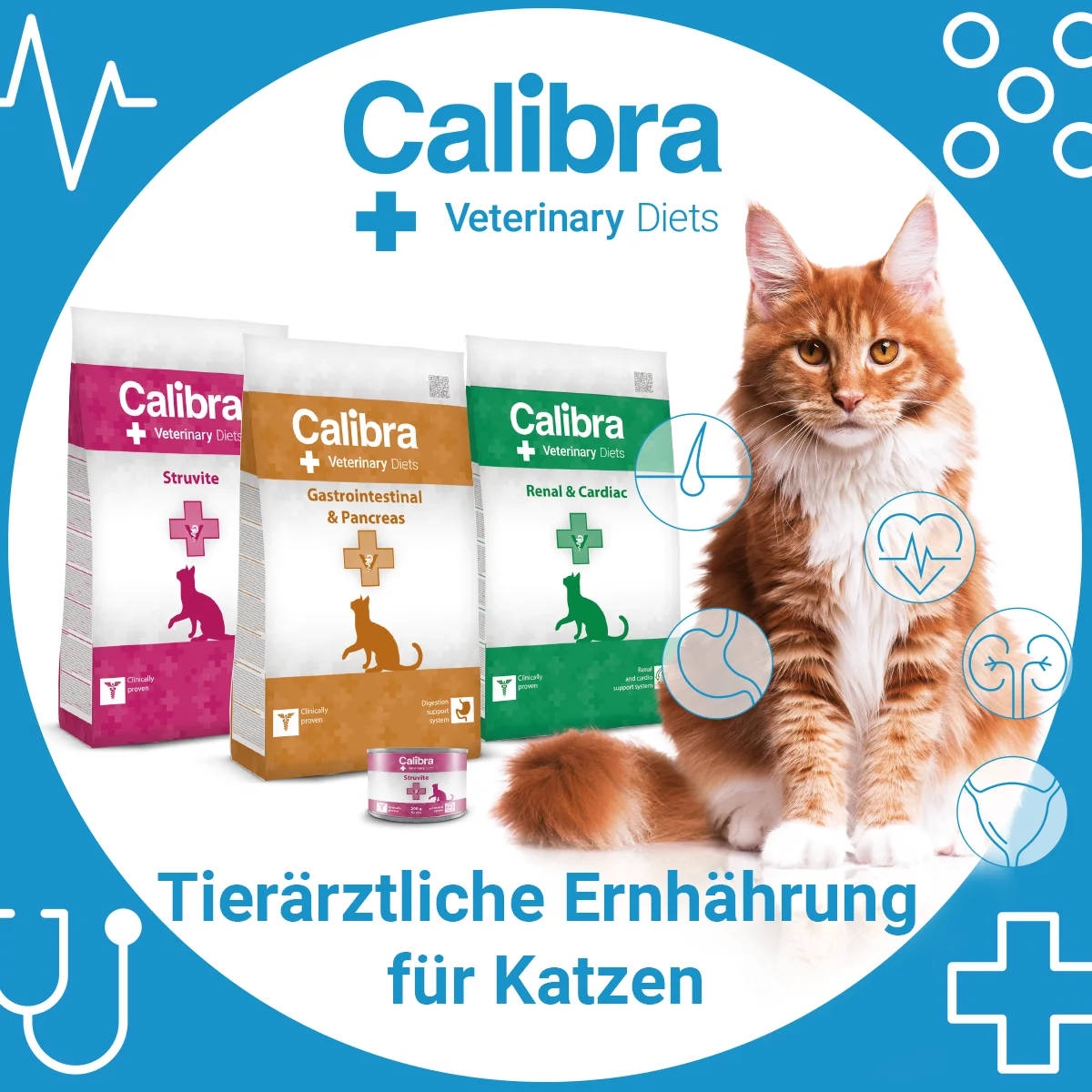 CAT_VD_Bannery_ENGL_1200x1200_DE
