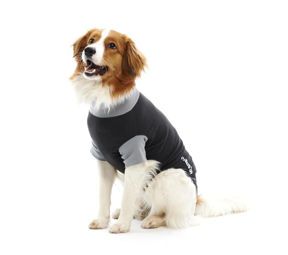 Hund, Pullover, Hundepullover, Kleidung, SchwarzGrau