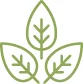 urspruenglich-icon