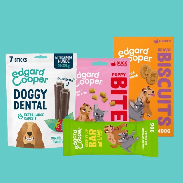 Hund Snacks